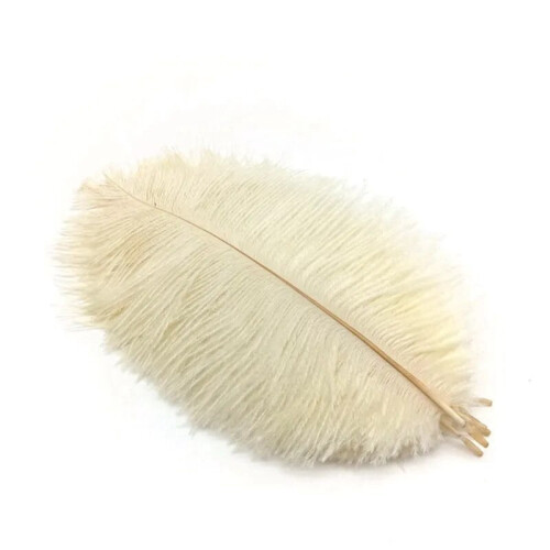 Ostrich Feathers Off White 50 pcs 20-25 cm