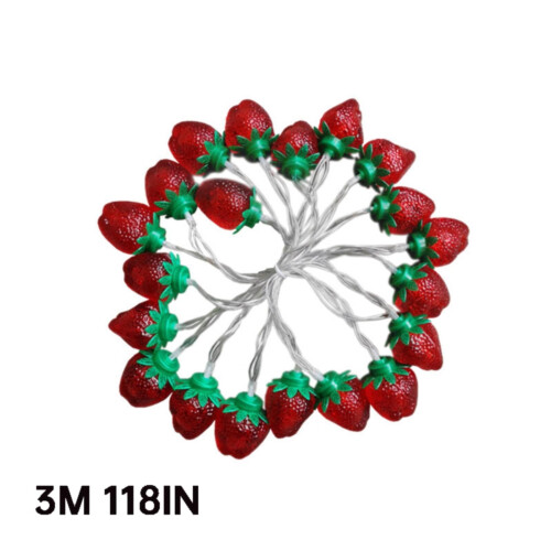 Strawberry String Lights Indoor Bedroom 10ft 2
