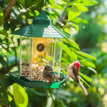 Lingouzi fuglemater med HD1080P WiFi-kamera