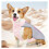 Dog Cooling Vest with Reflective Stripe Breathable Sun 1