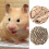 Rabbit Ball Toy Scratch-Resistant for Teeth Grinding 4