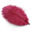 Wine Red Ostrich Feathers 20-25 cm 50 pcs 1