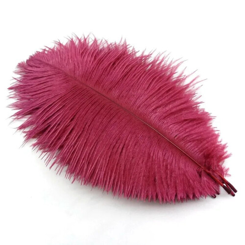 Wine Red Ostrich Feathers 20-25 cm 50 pcs