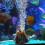 Aquarium Aeration Pump with Bubble Stone Volcano 7