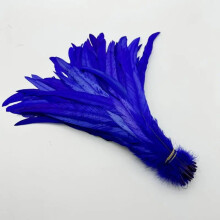 Rooster Tail Feather Plumes Beige Royal Blue 50 pcs