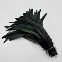 Rooster Tail Feather Plumes Natural Beige 50 pcs 25-45 cm