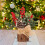 Small artificial Christmas tree with 20 LED lights and 1