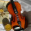 Troglfold violin intonation stickers 3/4 size 5