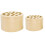 Spiral ikebana stem holder for vases, 1 piece 1