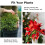 Metal plant climbing support trellis round frame 1 pc 6