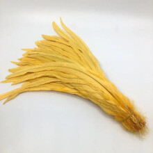Rooster Tail Feathers Natural Beige Gold 50 pcs 25-45 cm