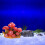 Mini mushroom terrarium natural appearance aquarium decor 7