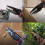 Industrial Scissors with Locking Mechanism 6-in-1 5