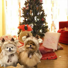 Christmas pet cloak warm clothing with hat option