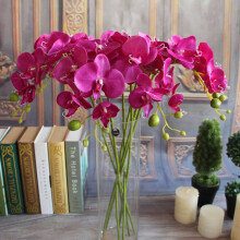 Silkes Phalaenopsis Orkidé Blomstjälk 7Heads