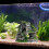 Aquarium Resin Mountain Cave Ornament Small 2