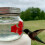 Hummingbird Feeder Outdoor Hanging 1 Pack 4