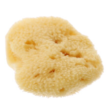 Weierla sea sponge for art painting yellow 4x4x2 cm