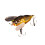 Lure Bait Treble Hook 6.5g 5cm Luminous Cicada White 5