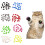Cat Nail Caps Soft Plastic Colorful 20Pcs 1