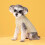 Dog Sweater Christmas Pullover for Small Medium Large Dogs 5