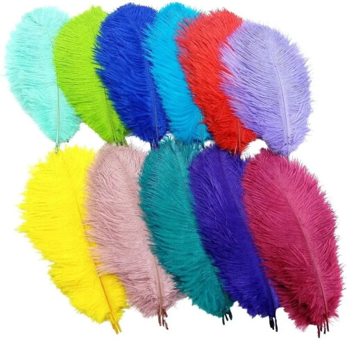 Wine Red Ostrich Feathers 20-25 cm 50 pcs 1