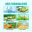 Nail Bite Deterrent for Children 10ml 4