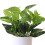 Mini artificial bonsai plant with fresh green foliage 4