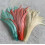 Rooster Tail Feathers Beige 25-45cm 50pcs 2