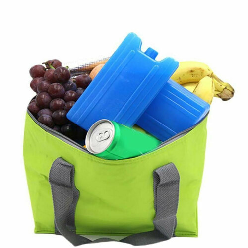 Picnic fruit lunch bag 400ml with ice blocks 2
