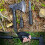 Camping Axe Folding Tactical Hatchet with Hammer Black 2