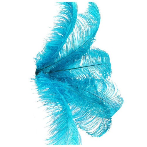 Ostrich Feathers Lake Blue 20-25cm 10 pcs 1