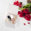 Tutuviw transparent gift boxes for sublimation mugs 12 pcs 6