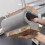 Polyurea grouting liquid for crack waterproofing 7