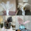 Dyed Ostrich Feathers 15-20 cm 1/10/20 pcs 5