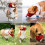 Dog Muzzles Set Breathable Adjustable 7 pcs 5