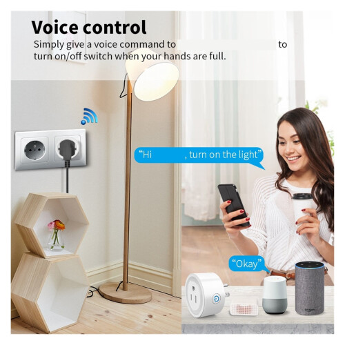 Wi-Fi Smart Socket Tuya App Control 10A 2