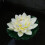 Artificial Lotus Flower Floating Water Lily 1 pc 1