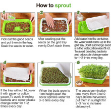 Tutuviw Seed Sprouter Tray BPA Free 1 Pack