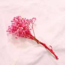 Natural Baby's Breath Dried Flowers Mini Bouquet