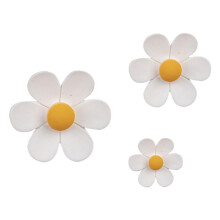 Flower Fridge Magnets 3D Strong 12pcs