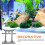 Aquarium Decor Garden Micro Landscape Accessory 1pc 8
