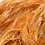 Austok orange kitchen curtain decorative string 5.85 x 7.41 5
