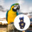 Bird flight suit costume with diaper for parrots 5