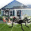 Halloween spider web decorations set outdoor 10 pcs 1