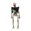 Halloween Skeleton Pendant 6 Inches Full Body Posable 1