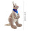 Stuffed Pickle Toy with Skeleton and Labradoodle 1 piece 3