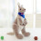 Stuffed Pickle Toy with Skeleton and Labradoodle 1 piece 7