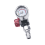 Paint Sprayer Air Regulator Pressure Gauge with Adapter 3 4