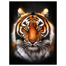 Diamond Art Kit for Adults Painting with Diamonds 30x40cm